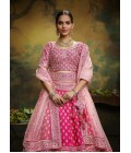 Pink Pure Silk Sequinse Bridal Lehenga Choli Pink Pure Silk Sequinse Bridal Lehenga Choli