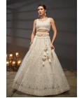 Cream Net Zarkan Embroidery Wedding Lehenga Choli