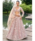 Nude Organza Sequins Embroidery Wedding Lehenga Choli