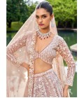 Nude Organza Sequins Embroidery Wedding Lehenga Choli