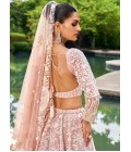 Nude Organza Sequins Embroidery Wedding Lehenga Choli