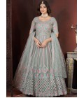 Pista Net Thread Embroidered Designer Gown