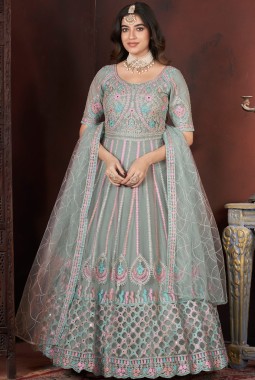 Pista Net Thread Embroidered Designer Gown