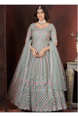 Pista Net Thread Embroidered Designer Gown