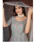 Pista Net Thread Embroidered Designer Gown