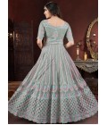 Pista Net Thread Embroidered Designer Gown