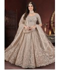 Chiku Net Mirror Work Designer Gown