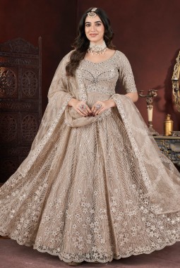 Chiku Net Mirror Work Designer Gown