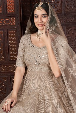 Chiku Net Mirror Work Designer Gown