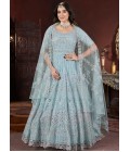 Sky Net Thread Embroidered Designer Gown