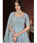 Sky Net Thread Embroidered Designer Gown