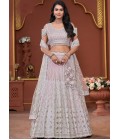 Pink Net Embroidered Wedding Lehenga Choli