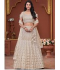 Beige Net Embroidered Wedding Lehenga Choli