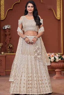 Beige Net Embroidered Wedding Lehenga Choli