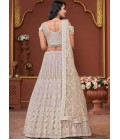 Beige Net Embroidered Wedding Lehenga Choli