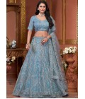 Sky Net Embroidered Wedding Lehenga Choli