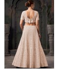 Beige Net Zarkan Wedding Lehenga Choli