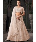 Beige Net Zarkan Wedding Lehenga Choli