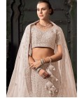 Beige Net Zarkan Wedding Lehenga Choli