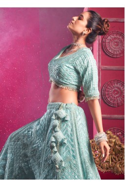 Sky Blue Net Zarkan Wedding Lehenga Choli