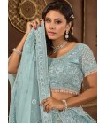 Sky Blue Net Zarkan Wedding Lehenga Choli