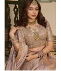Lilac Banarasi Silk Khatli Weaving Designer Wedding Lehenga Choli