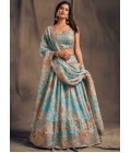 Sky Blue Organza Zari Embroidery Wedding Lehenga Choli