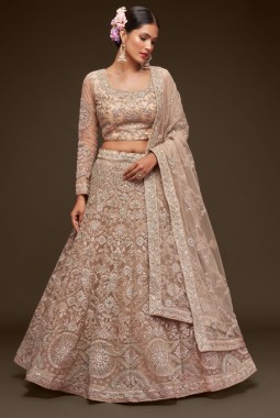 Royal Beige Soft Net Zari Emroidery Wedding Lehenga Choli
