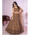 Brown Soft Net Thread Embroidered Wedding Lehenga Choli