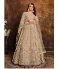 Beige Net Zari Embroidered Wedding Salwar Kameez