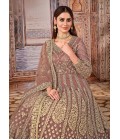 Beige Net Stone Work Wedding Salwar Kameez 