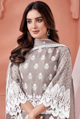 Grey Soft Organza Embroidered Casual Salwar Kameez