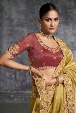 Green Tissue Zari Embroidered Festive Wear Saree