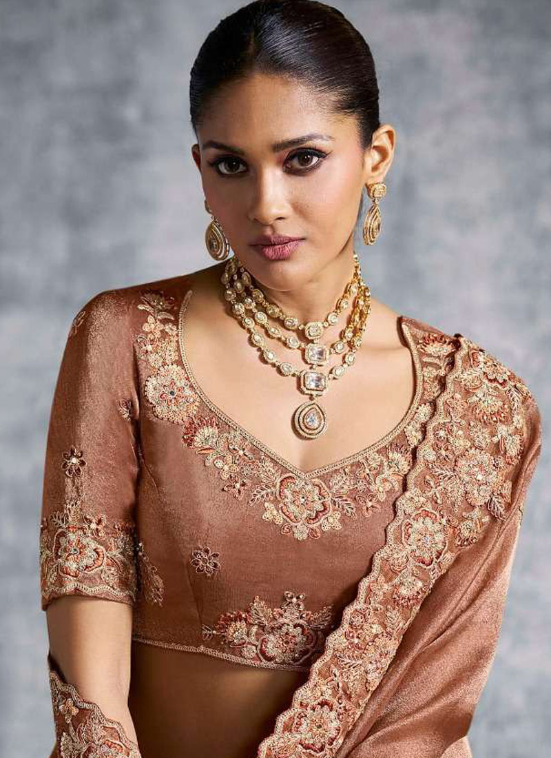 Brown Tissue Zari Embroidered Festive Wear Saree