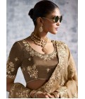 Beige Tissue Zari Embroidered Festive Wear Saree