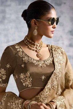 Beige Tissue Zari Embroidered Festive Wear Saree