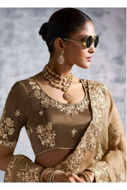 Beige Tissue Zari Embroidered Festive Wear Saree