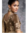 Beige Tissue Zari Embroidered Festive Wear Saree