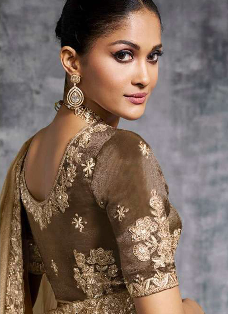 Beige Tissue Zari Embroidered Festive Wear Saree
