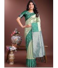 Light Green Silk Designer Saree Light Green Silk Designer Saree