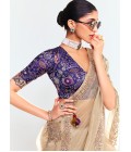 Beige Fancy Sequins Embroidered Party Wear Saree