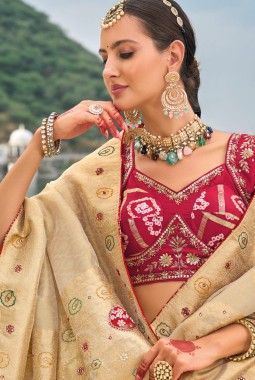 Chiku Pure Kanjivaram Heavy Work Designer Saree