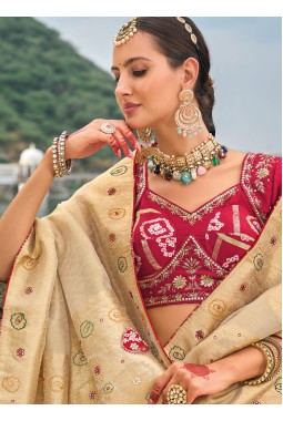 Chiku Pure Kanjivaram Heavy Work Designer Saree