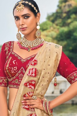 Chiku Pure Kanjivaram Jardoshi Heavy Work Designer Saree