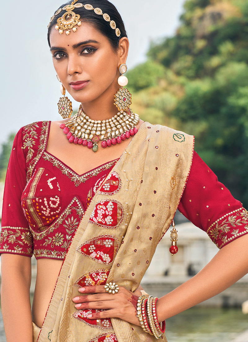 Chiku Pure Kanjivaram Jardoshi Heavy Work Designer Saree